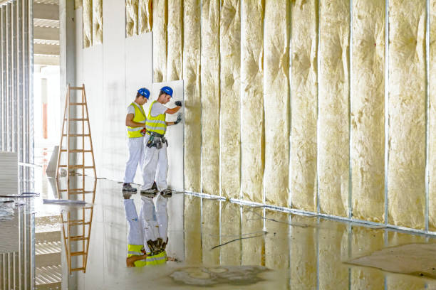 Best Cellulose Insulation in Melwood, MD